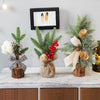 Mini Potted Christmas Tree, 25–28 cm