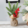 Mini Potted Christmas Tree, 25–28 cm – image 2