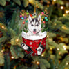 Husky Puppy in Stocking Christmas Ornament