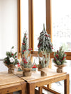 Mini Potted Christmas Decoration