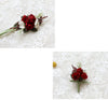 d947a65cc842c3271c94a481dff2bf48