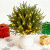 Decorative Christmas Pine Branch Set