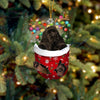 Spaniel Puppy in Stocking Christmas Ornament – image 2
